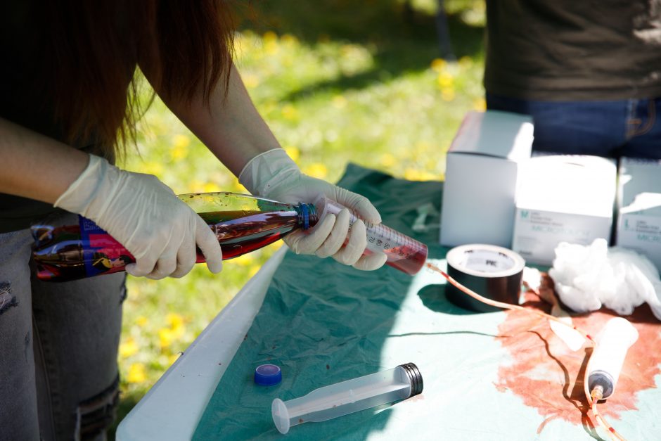 Santakos parkas šiandien tapo saugiausiu šalyje: Gegužės 1-oji čia paminėta originaliai