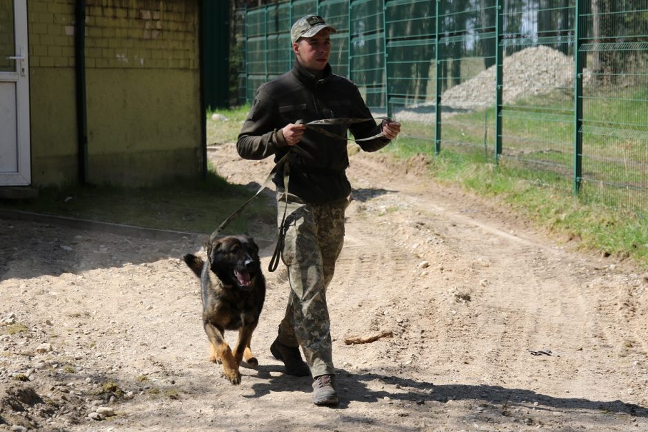 Lietuvos kinologai Ukrainos pasieniečių šunis moko ieškoti minų