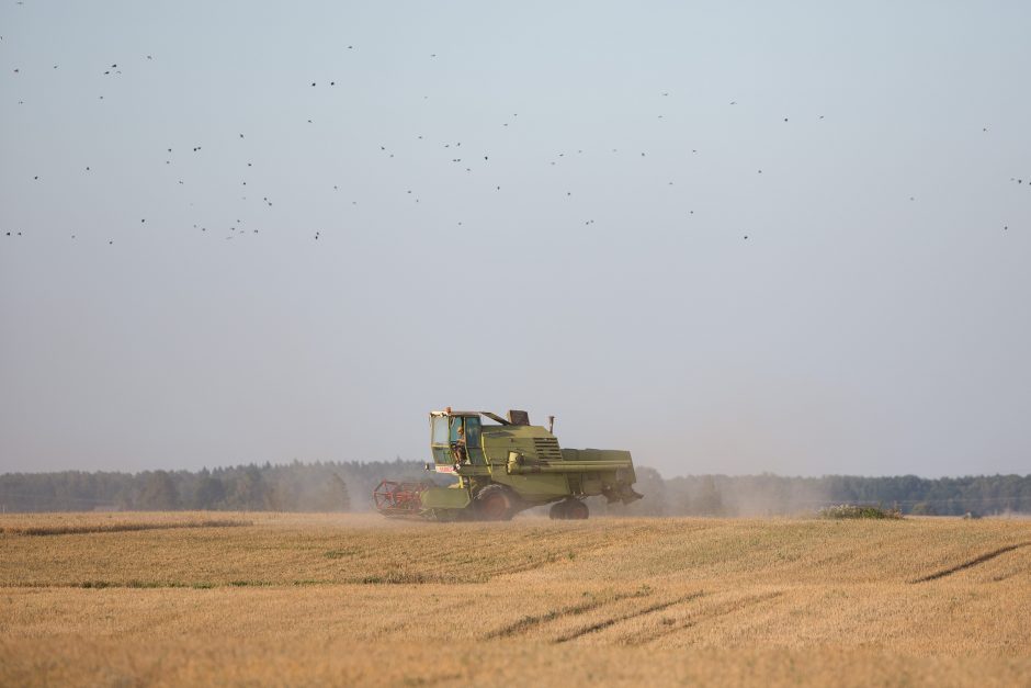 Ką daryti, kad liepsnos nepasiglemžtų ir kombaino, ir derliaus?