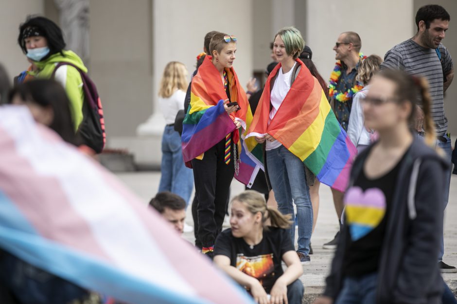 Apie 500 žmonių Vilniuje reikalavo užtikrinti LGBT bendruomenės teises 