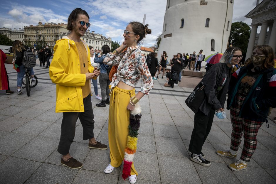 Apie 500 žmonių Vilniuje reikalavo užtikrinti LGBT bendruomenės teises 