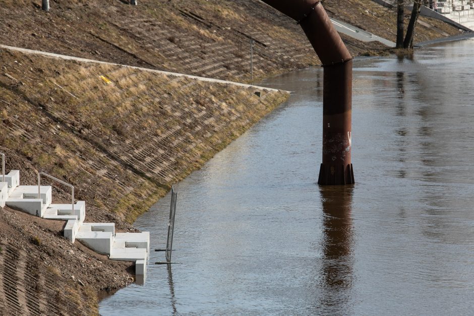 Klimato anomalijų vis daugėja: ar upių potvyniai vasarį – normalu?