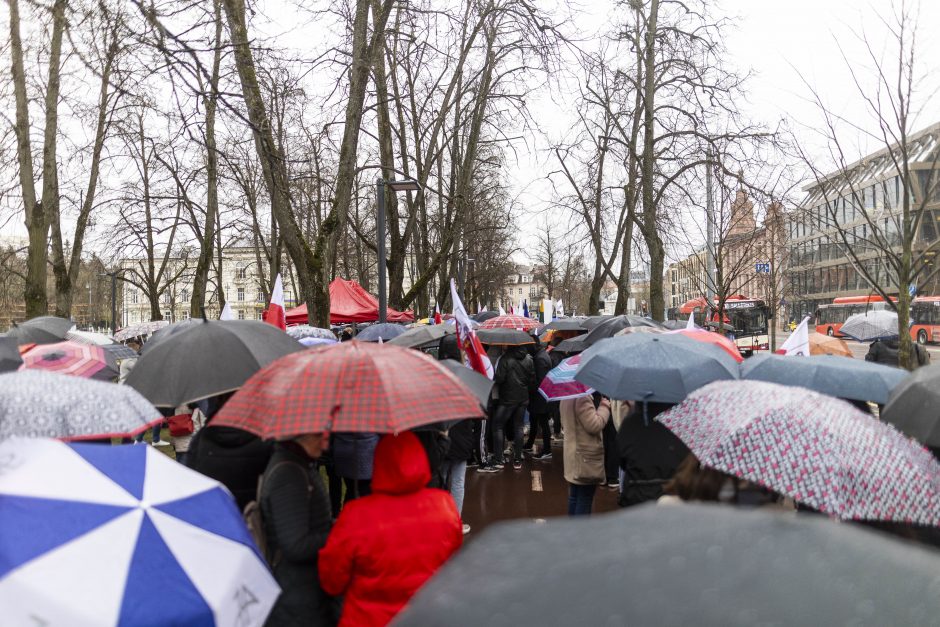 Protestuotojai reikalavo atšaukti Trakų rajono švietimo įstaigų pertvarką