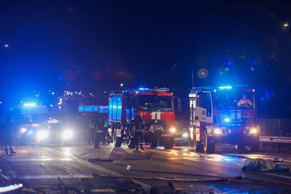 Tragiškos kaktomušos Islandijos plente mįslės įmintos: jos kaltininkas pasiklydo dėl girtumo