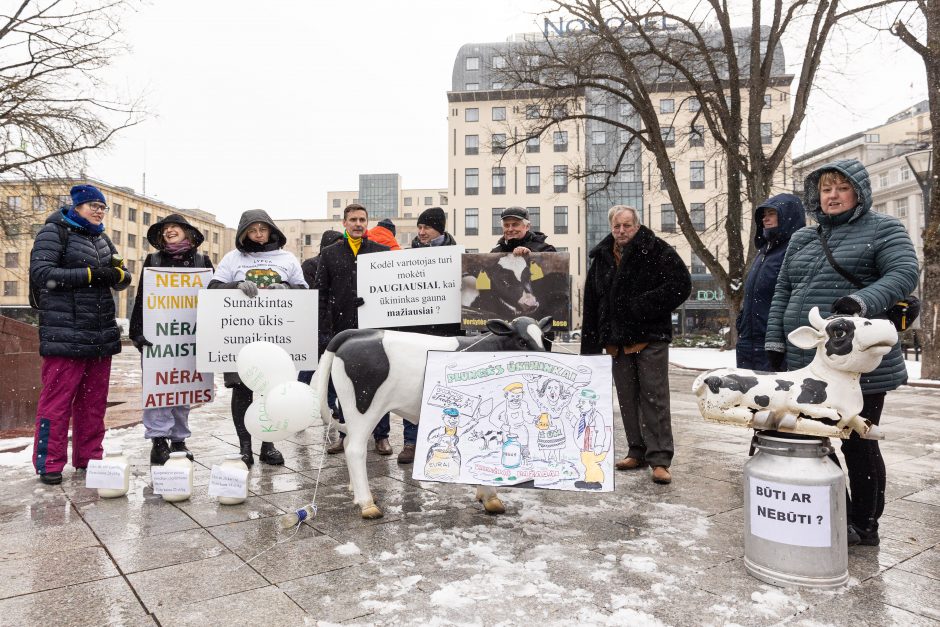 Pieno supirkimo kainomis nepatenkinti ūkininkai Vyriausybei grasina masiniais protestais