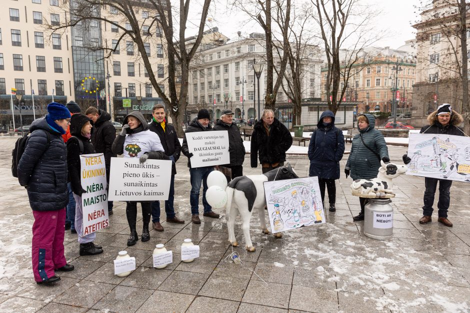 Pieno supirkimo kainomis nepatenkinti ūkininkai Vyriausybei grasina masiniais protestais