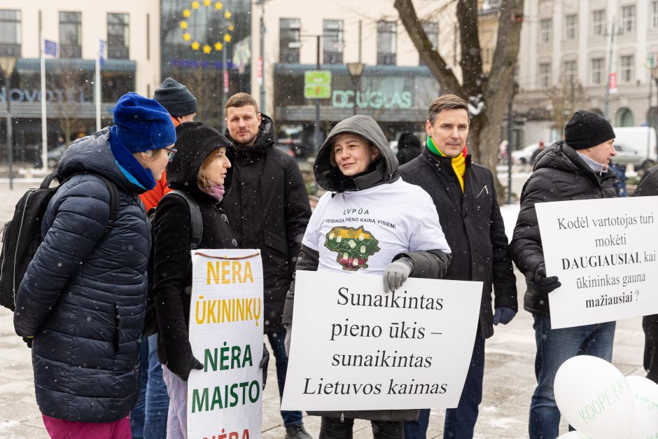 Pieno supirkimo kainomis nepatenkinti ūkininkai Vyriausybei grasina masiniais protestais