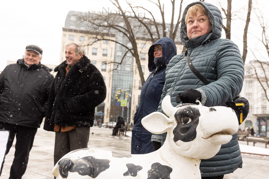 Pieno supirkimo kainomis nepatenkinti ūkininkai Vyriausybei grasina masiniais protestais