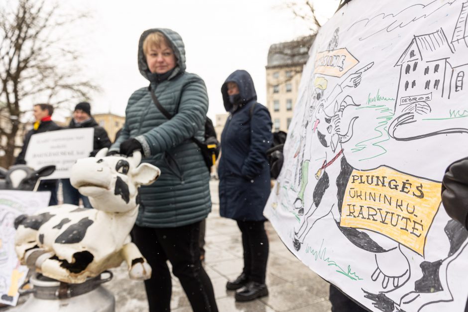 Pieno supirkimo kainomis nepatenkinti ūkininkai Vyriausybei grasina masiniais protestais