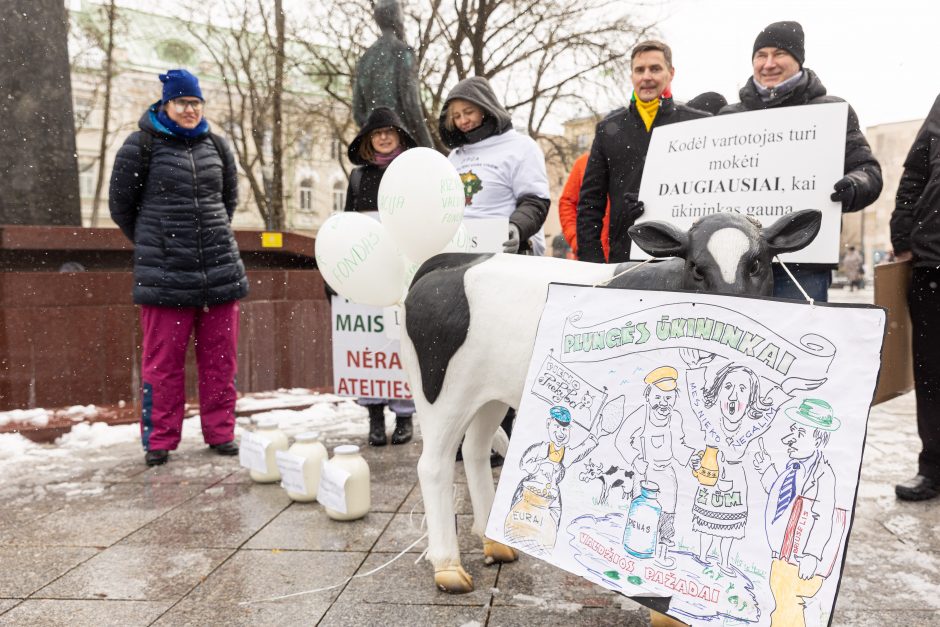 Pieno supirkimo kainomis nepatenkinti ūkininkai Vyriausybei grasina masiniais protestais