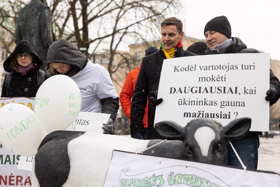 Pieno supirkimo kainomis nepatenkinti ūkininkai Vyriausybei grasina masiniais protestais