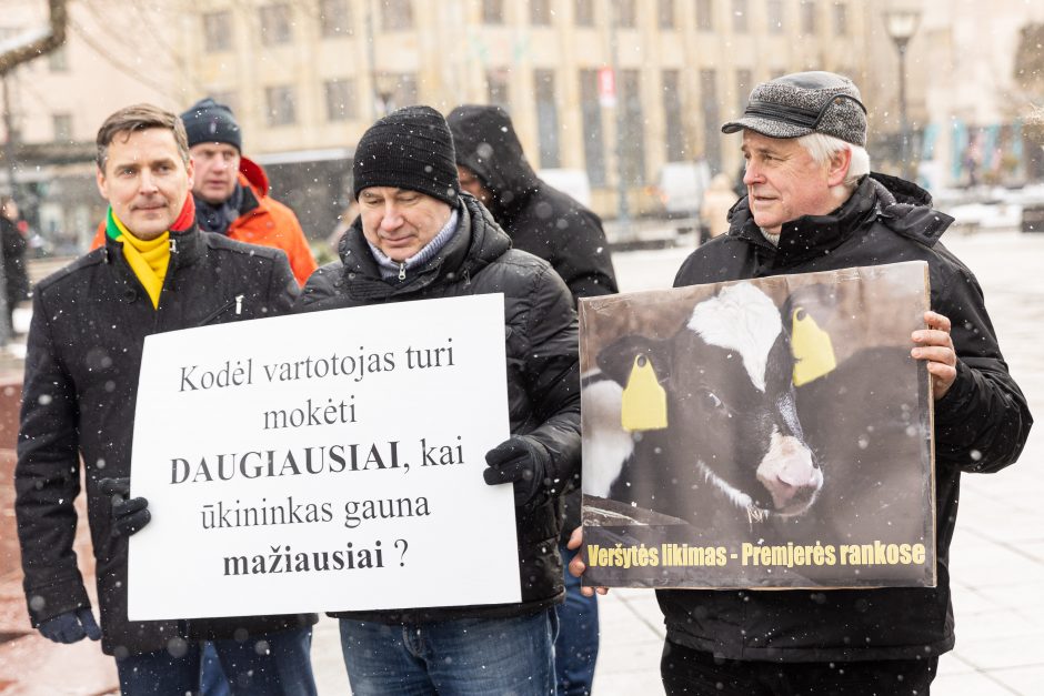 Pieno supirkimo kainomis nepatenkinti ūkininkai Vyriausybei grasina masiniais protestais