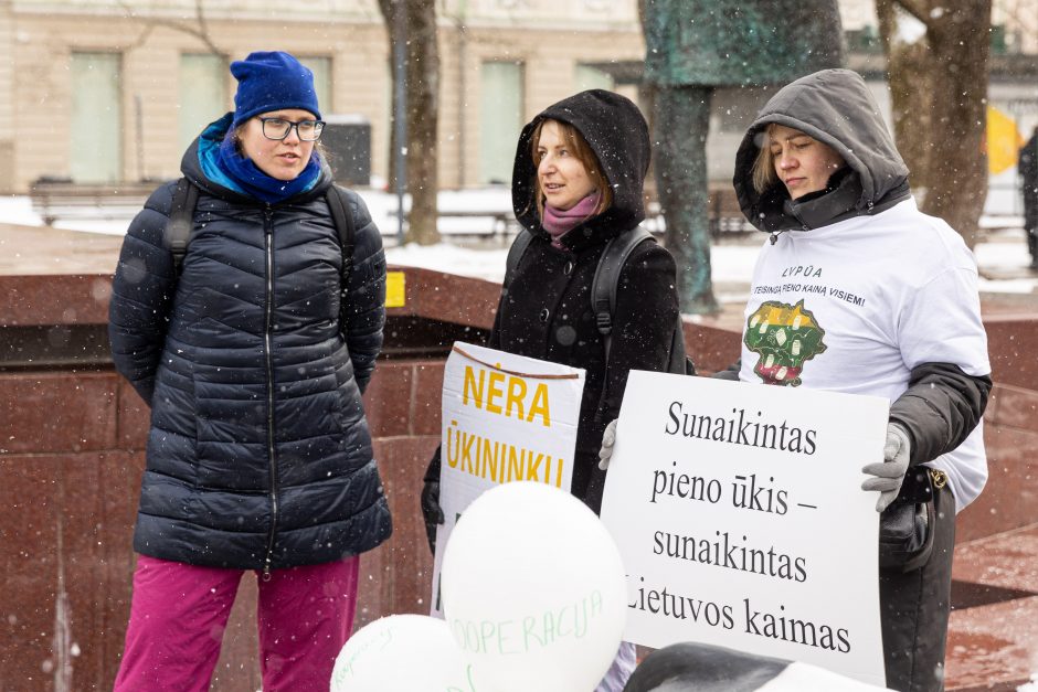 Pieno supirkimo kainomis nepatenkinti ūkininkai Vyriausybei grasina masiniais protestais