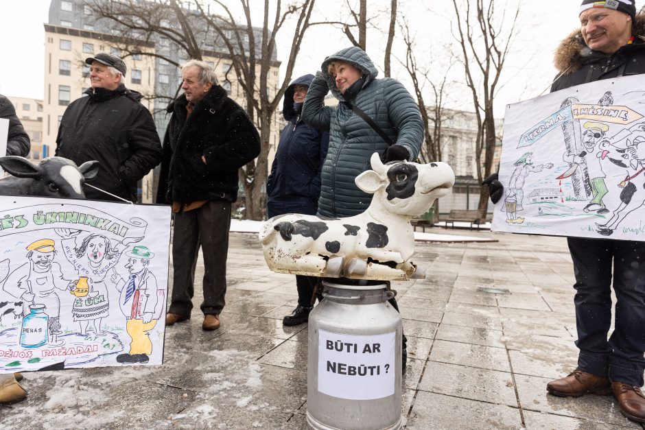 Pieno supirkimo kainomis nepatenkinti ūkininkai Vyriausybei grasina masiniais protestais