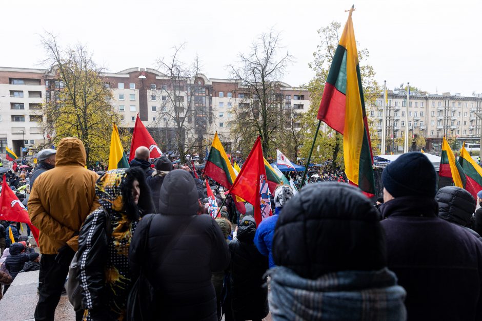 Protestas dėl NT mokesčio: jeigu matysiu, kad iš manęs atima namus, aš juos sudeginsiu