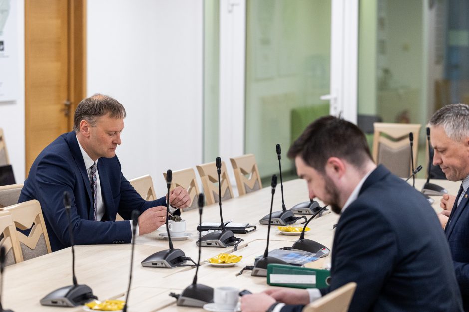 R. Bridikis patvirtino davęs nurodymą T. Gailiui patikrinti G. Nausėdos komandą