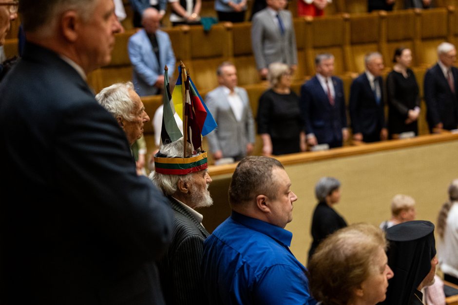 V. Čmilytės-Nielsen perspėjimas: mus grasina vėl įtraukti į kraujo ir purvo verpetą