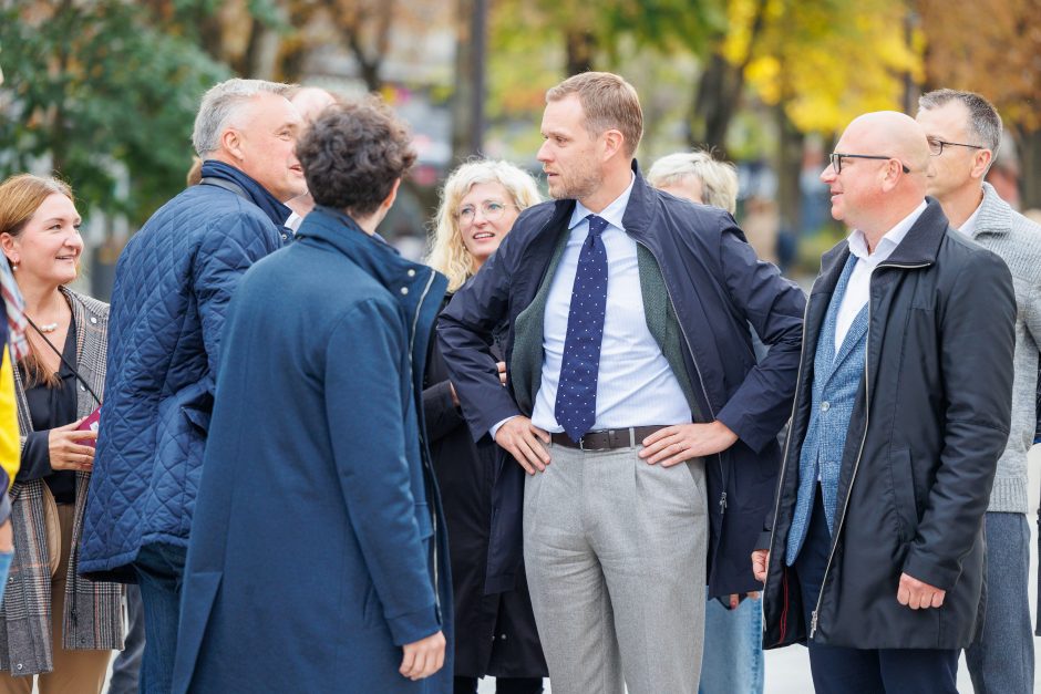 A. Armonaitė: artėjant prie balsadėžių pasirodo tikrasis politikų veidas