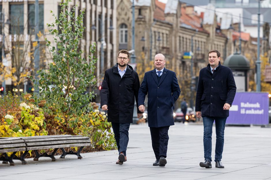 „Vardan Lietuvos“ lyderis: ne S. Skvernelis priiminėja sprendimus, kokios koalicijos, su kuo jungtis