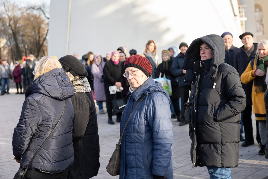 Katedros aikštėje dovanojamos eglių ir pušų šakos