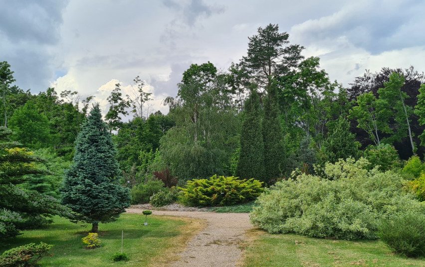 Atnaujintame Dubravos arboretume – 750 naujų augalų rūšių