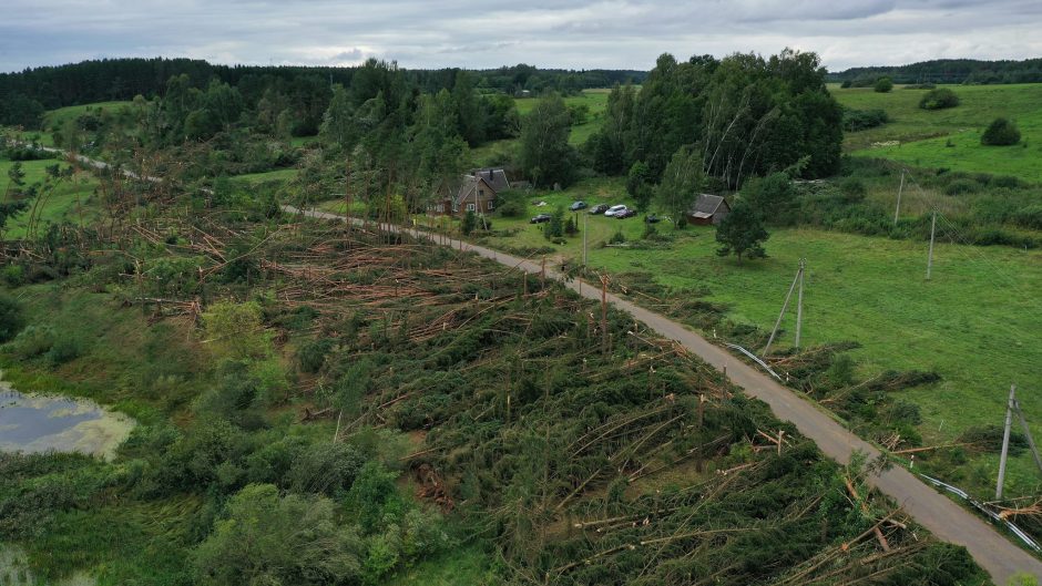 Išguldė didžiulį miško plotą: praslinko ir škvalas, ir viesulas?