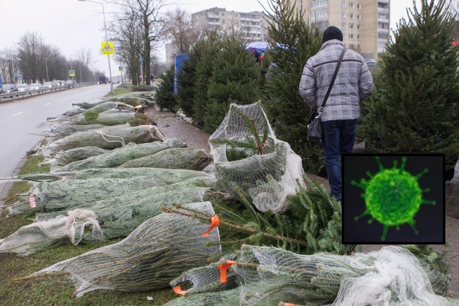 Profesorius: ar dėl COVID-19 grėsmės drausti prekiauti eglutėmis ir jų šakomis? 