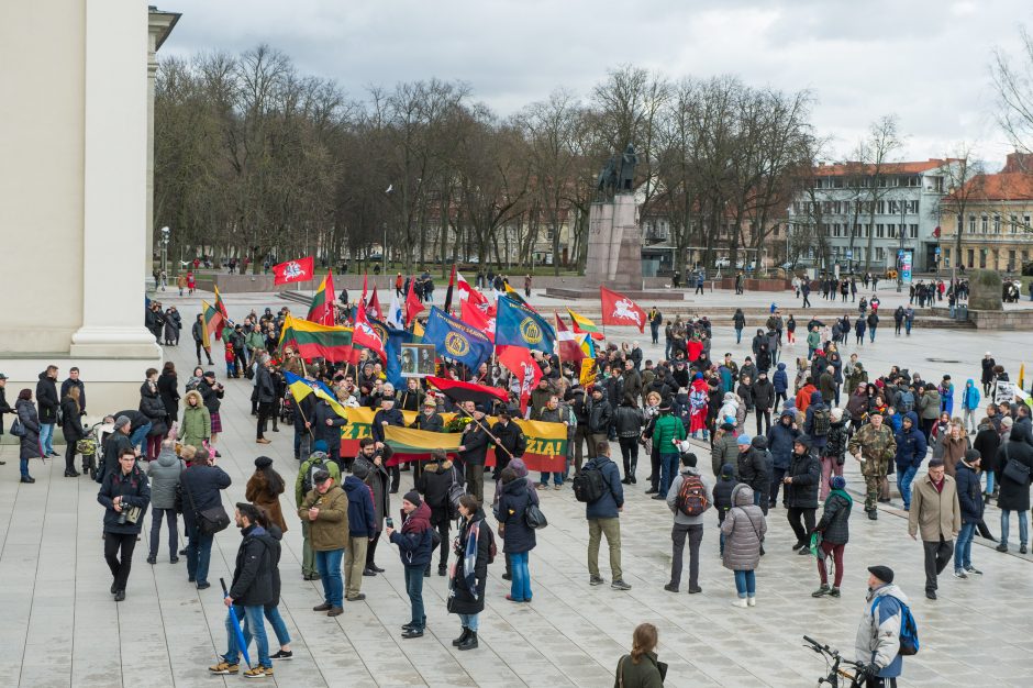 Keli šimtai žmonių žygiavo tautininkų eitynėse: reikalavo apriboti KT galias 