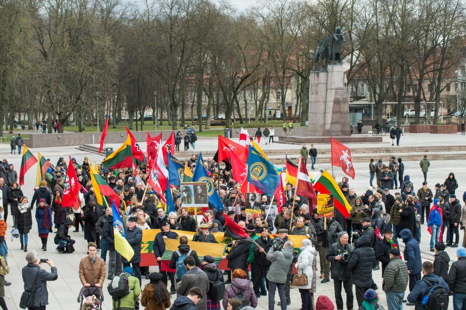 Keli šimtai žmonių žygiavo tautininkų eitynėse: reikalavo apriboti KT galias 