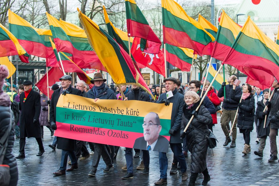 Keli šimtai žmonių žygiavo tautininkų eitynėse: reikalavo apriboti KT galias 