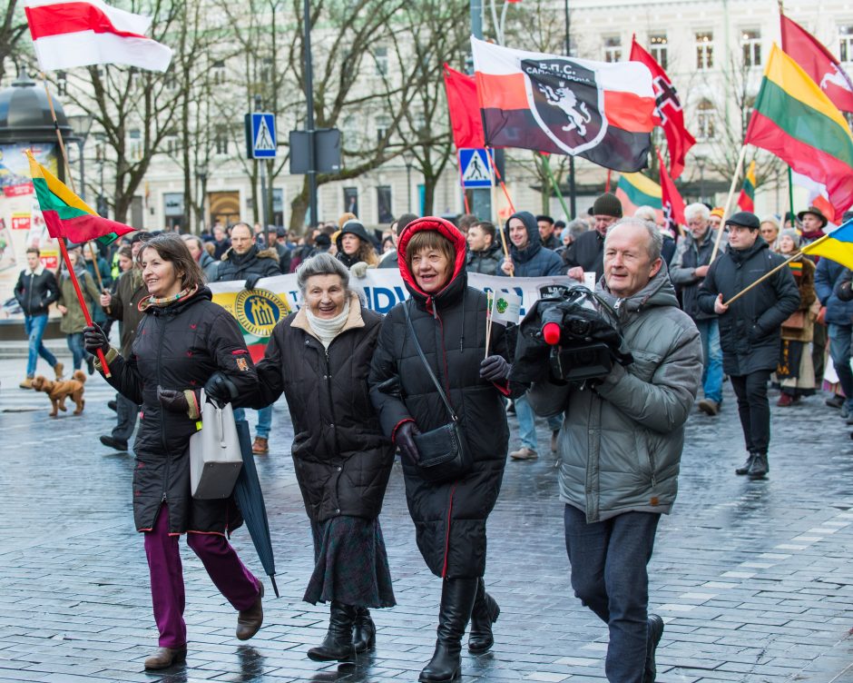 Keli šimtai žmonių žygiavo tautininkų eitynėse: reikalavo apriboti KT galias 