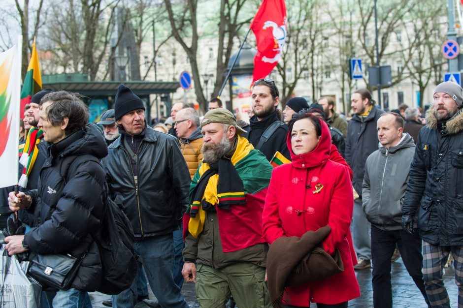 Keli šimtai žmonių žygiavo tautininkų eitynėse: reikalavo apriboti KT galias 