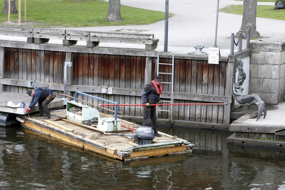 Įvertino Dangės upės krantinių būklę: kai kur ji – tragiška