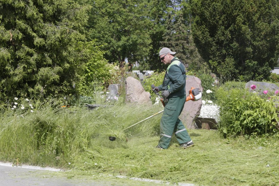 Joniškės kapinėms – priekaištai: trūksta tvarkos?