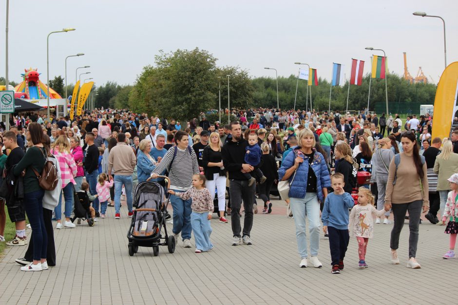 Baltijos kelią klaipėdiečiai minėjo skirtingai