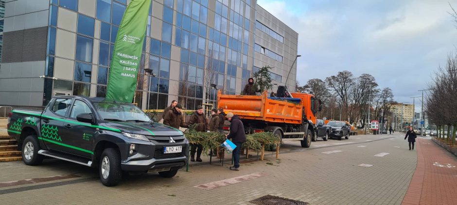 Urėdija: gyventojams išdalinta apie 100 tūkst. eglišakių