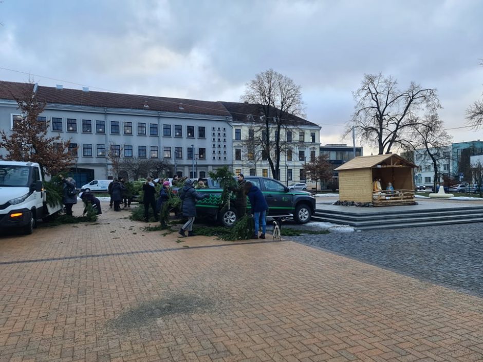 Urėdija: gyventojams išdalinta apie 100 tūkst. eglišakių