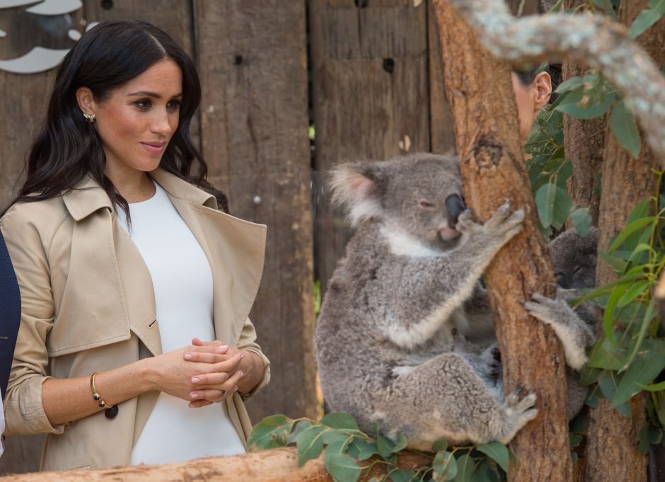 Australijoje viešintys princas Harry ir besilaukianti Meghan atsidūrė dėmesio centre