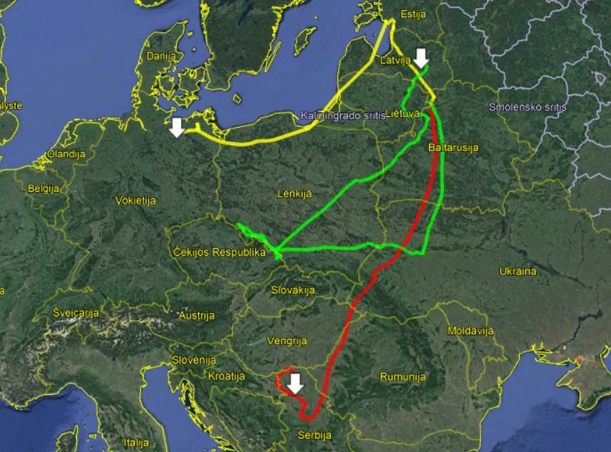 Seka garnių kelionę namo: atskleistos įdomios paukščių gyvenimo detalės