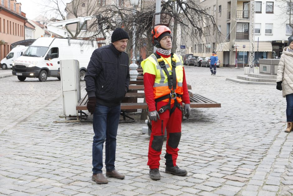 Teatro aikštėje – neeilinis sujudimas: kaip šiemet atrodys eglutė?