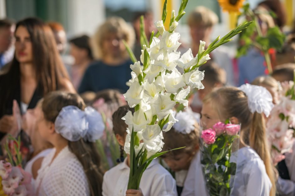 Vilnius švenčia Mokslo ir žinių dieną: su kokiais lūkesčiais pradedami nauji metai?