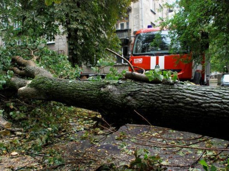 Dėl vėjo virto medžiai, tūkstančiams žmonių sutriko elektros tiekimas