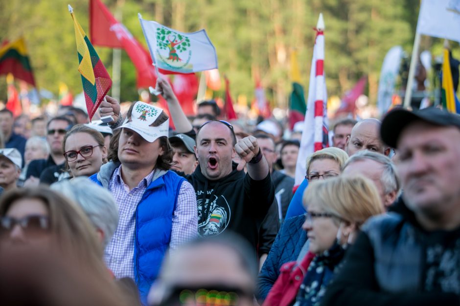 Žinomi žmonės apie „Didįjį šeimos gynimo maršą“: atrodo, kad šią šalį gali išgelbėti tik stebuklas