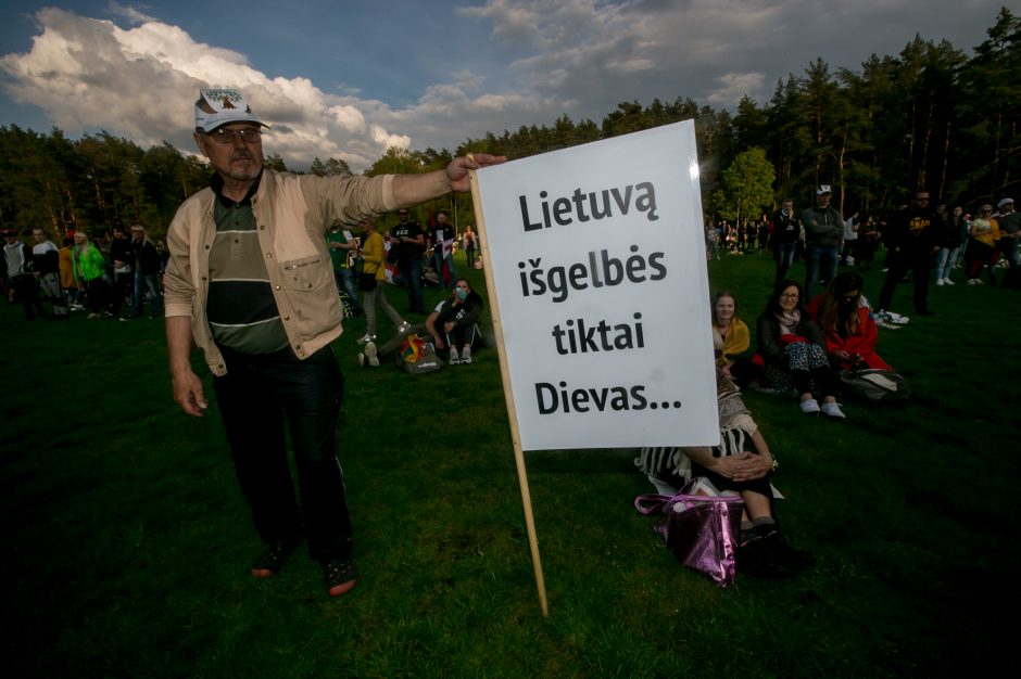 Žinomi žmonės apie „Didįjį šeimos gynimo maršą“: atrodo, kad šią šalį gali išgelbėti tik stebuklas