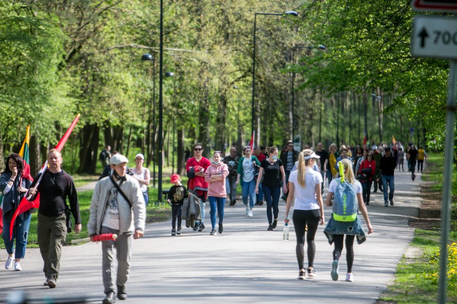 Žinomi žmonės apie „Didįjį šeimos gynimo maršą“: atrodo, kad šią šalį gali išgelbėti tik stebuklas