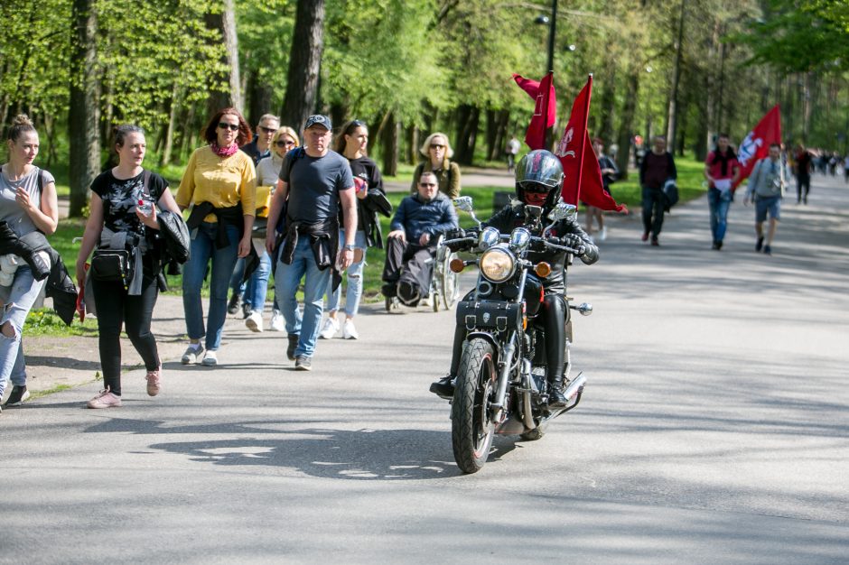 Žinomi žmonės apie „Didįjį šeimos gynimo maršą“: atrodo, kad šią šalį gali išgelbėti tik stebuklas