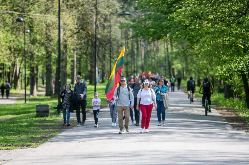 Žinomi žmonės apie „Didįjį šeimos gynimo maršą“: atrodo, kad šią šalį gali išgelbėti tik stebuklas