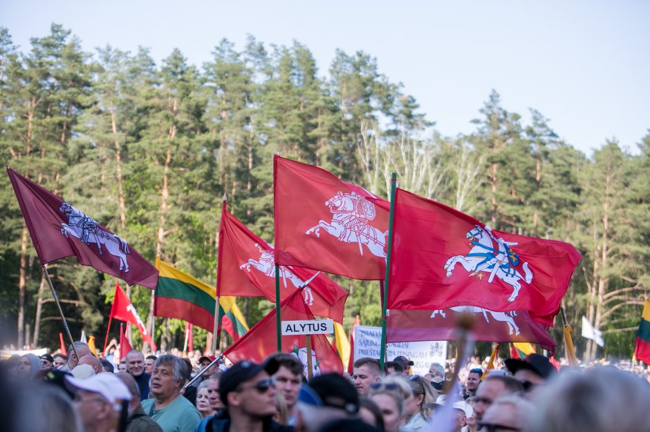 Žinomi žmonės apie „Didįjį šeimos gynimo maršą“: atrodo, kad šią šalį gali išgelbėti tik stebuklas