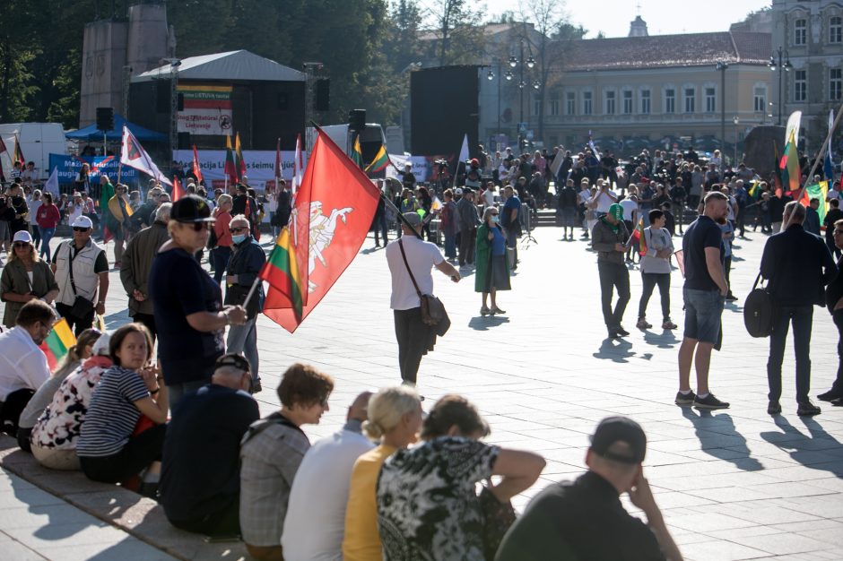 Sociologė R. Žiliukaitė: protestas turės įtakos rinkimams