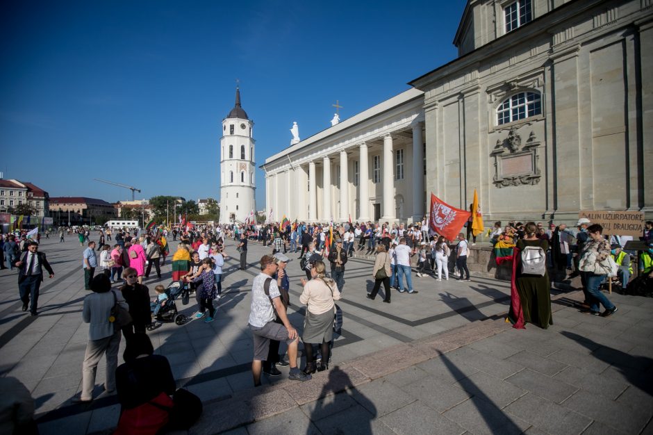 Sociologė R. Žiliukaitė: protestas turės įtakos rinkimams